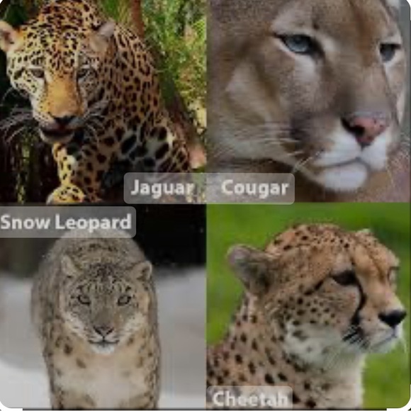 Made in Italy Emerald Eyed Woven Bangle Bracelet Genuine 18k Gold over Solid925 - Picture 3 of 16